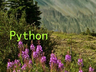 Python
