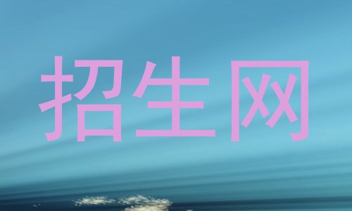 招生网