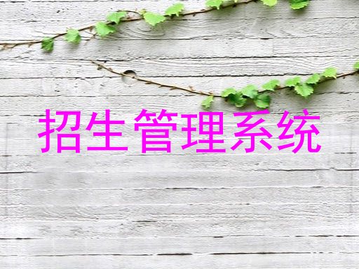 招生管理系统