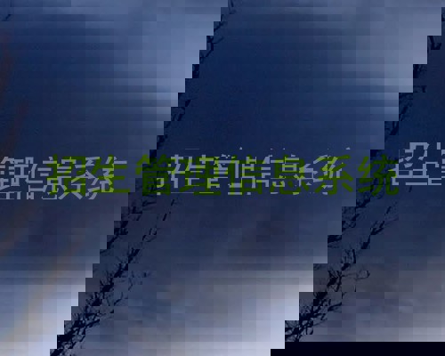 招生管理信息系统