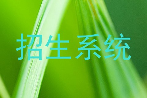 招生系统