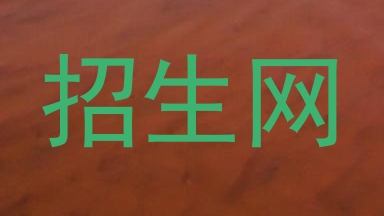 招生网