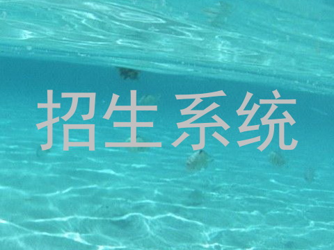 招生系统