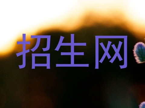 招生网