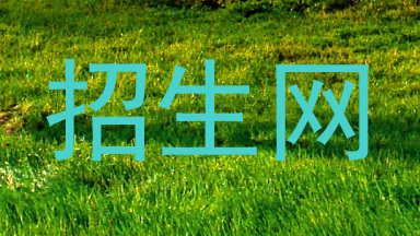 招生网