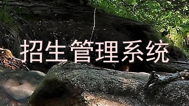 招生管理系统