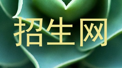 招生网