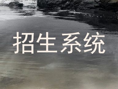 招生系统