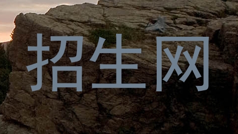 招生网