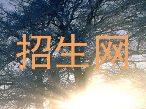 招生网
