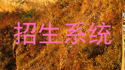 招生系统