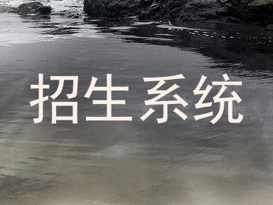 招生系统