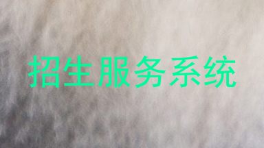 招生服务系统