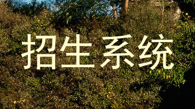 招生系统