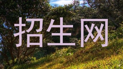 招生网