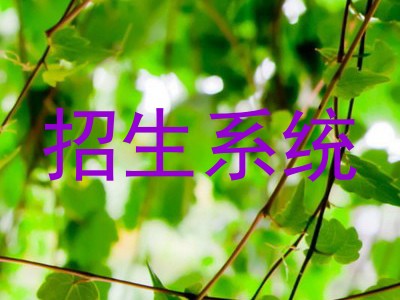 招生系统