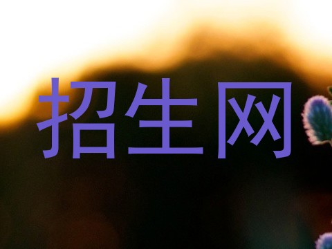 招生网