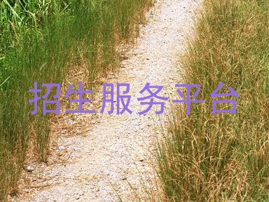 招生服务平台