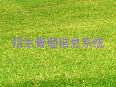 招生管理信息系统