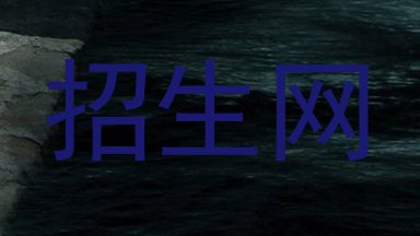 招生网