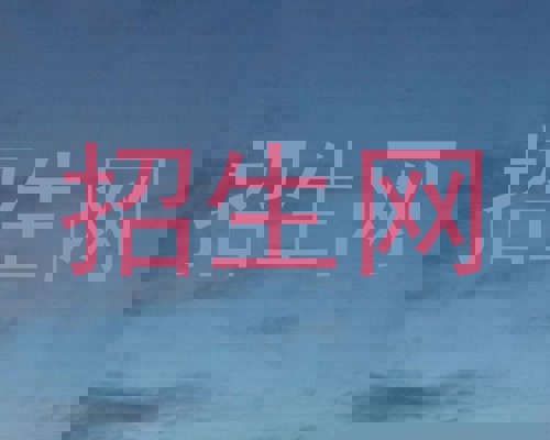 招生网