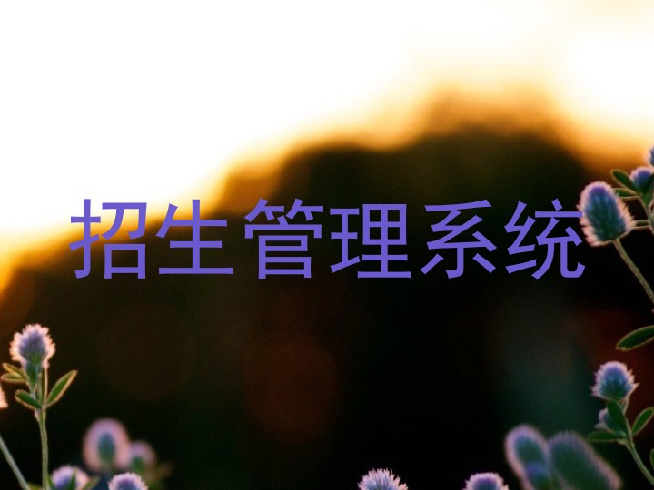 招生管理系统