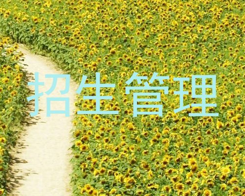 招生管理