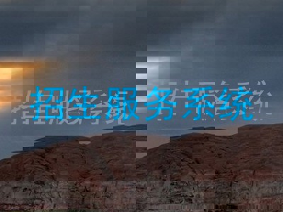 招生服务系统