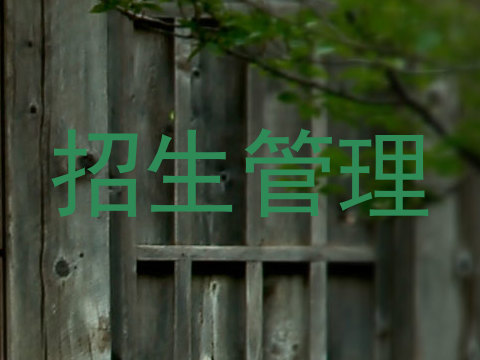 招生管理