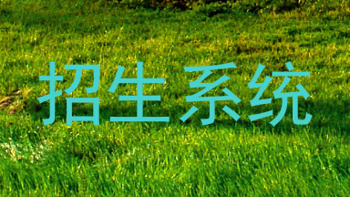 招生系统
