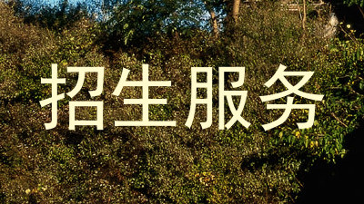 招生服务