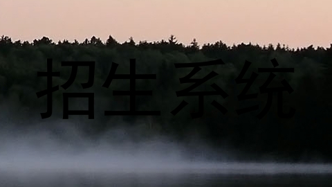招生系统
