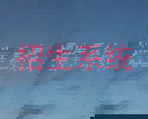 招生系统