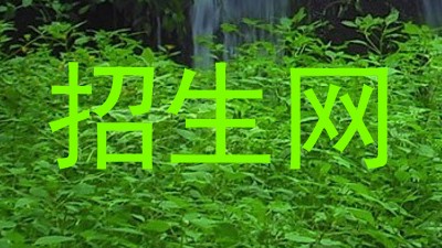 招生网