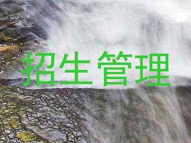 招生管理