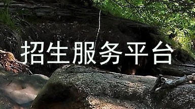 招生服务平台