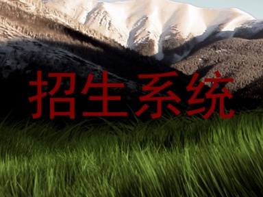 招生系统