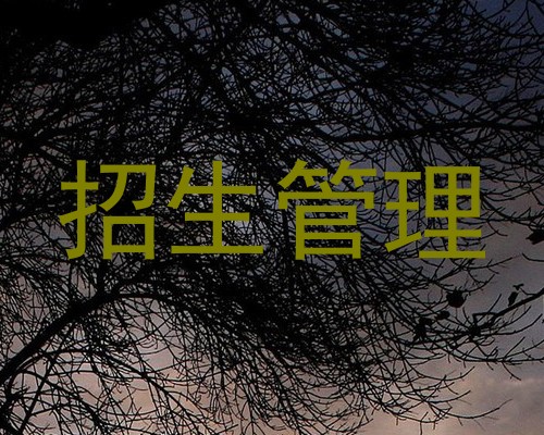 招生管理