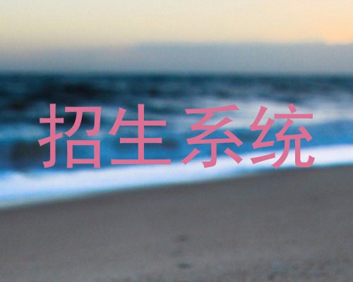 招生系统