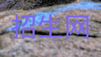 招生网