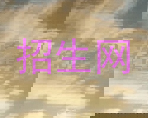 招生网
