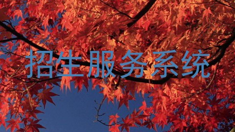 招生服务系统