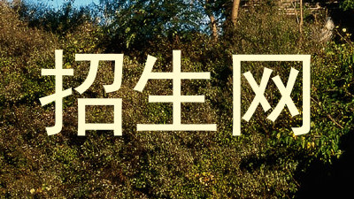 招生网
