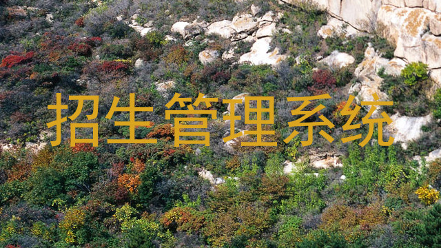 招生管理系统