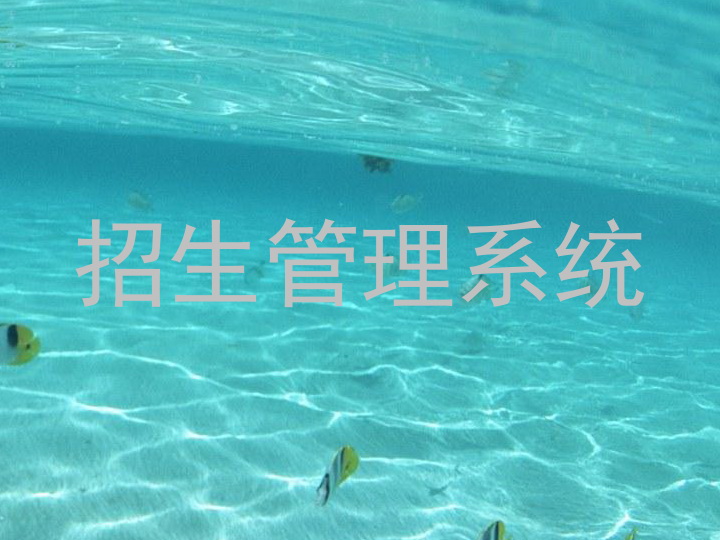 招生管理系统