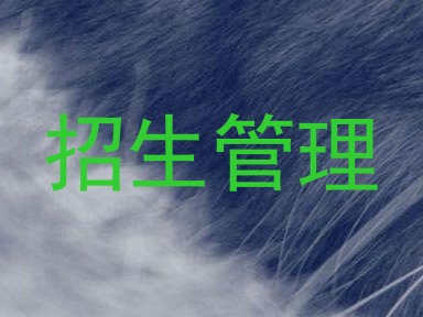 招生管理