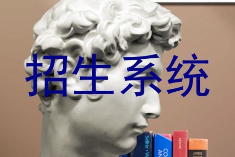 招生系统