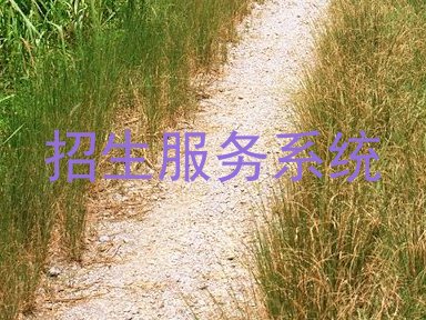 招生服务系统