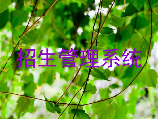 招生管理