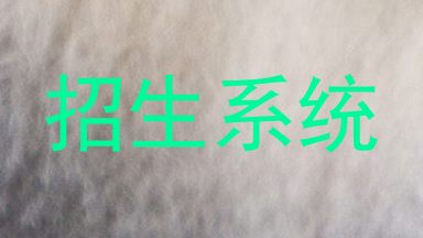 招生系统